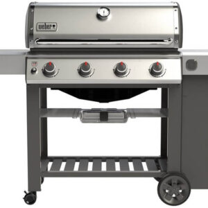 Weber genesis II