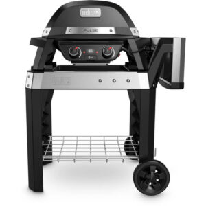 Weber pulse 2000 met onderstel