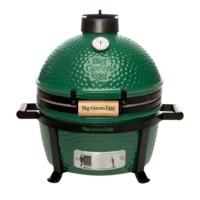 Big Green Egg Minimax